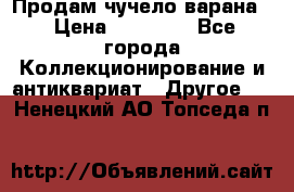 Продам чучело варана. › Цена ­ 15 000 - Все города Коллекционирование и антиквариат » Другое   . Ненецкий АО,Топседа п.